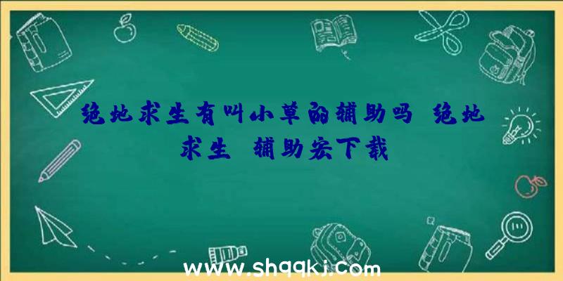 绝地求生有叫小草的辅助吗、绝地求生